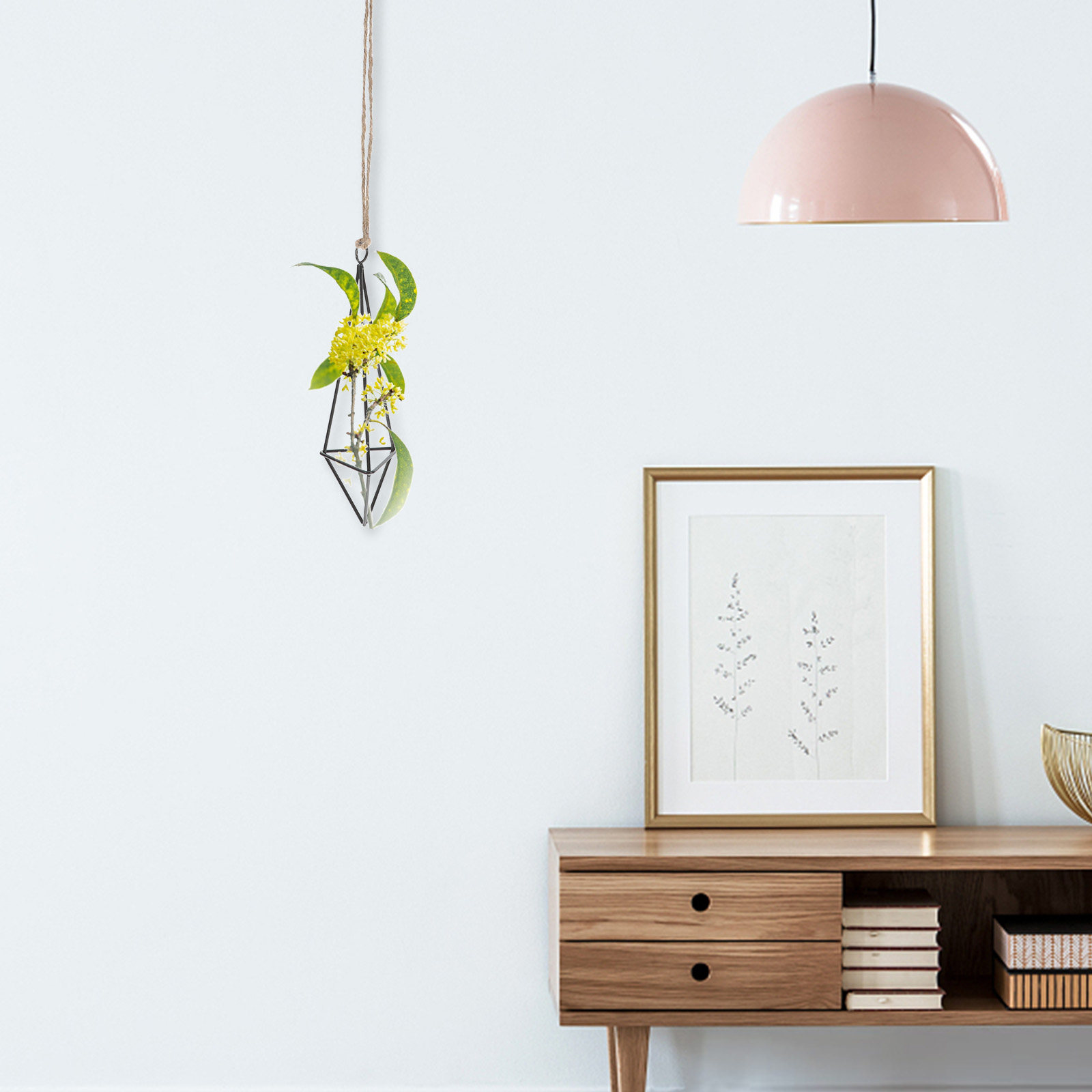 Geometric Iron Art Air Plant H - огляд і ціна Spider Plant Hanging
